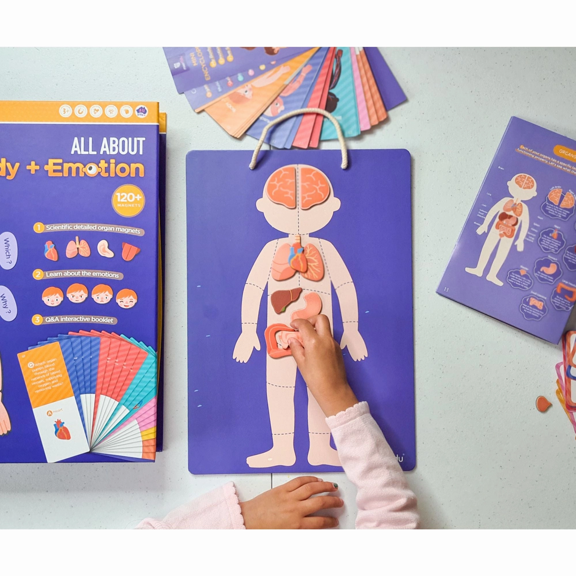 MierEdu Magnetic Puzzle - All About Body & Emotion