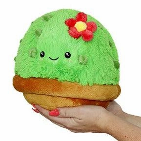 Mini Cactus