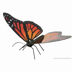 Monarch
