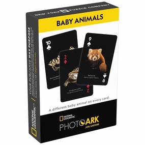 NatGeo Baby Animals Cards