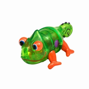 Neil Crawling Gecko