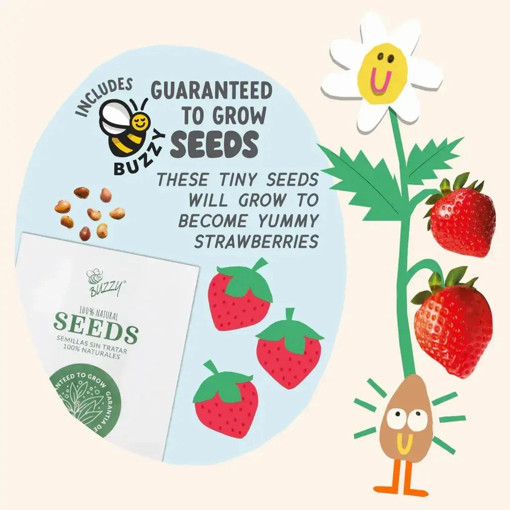 Paint & Grow Strawberry