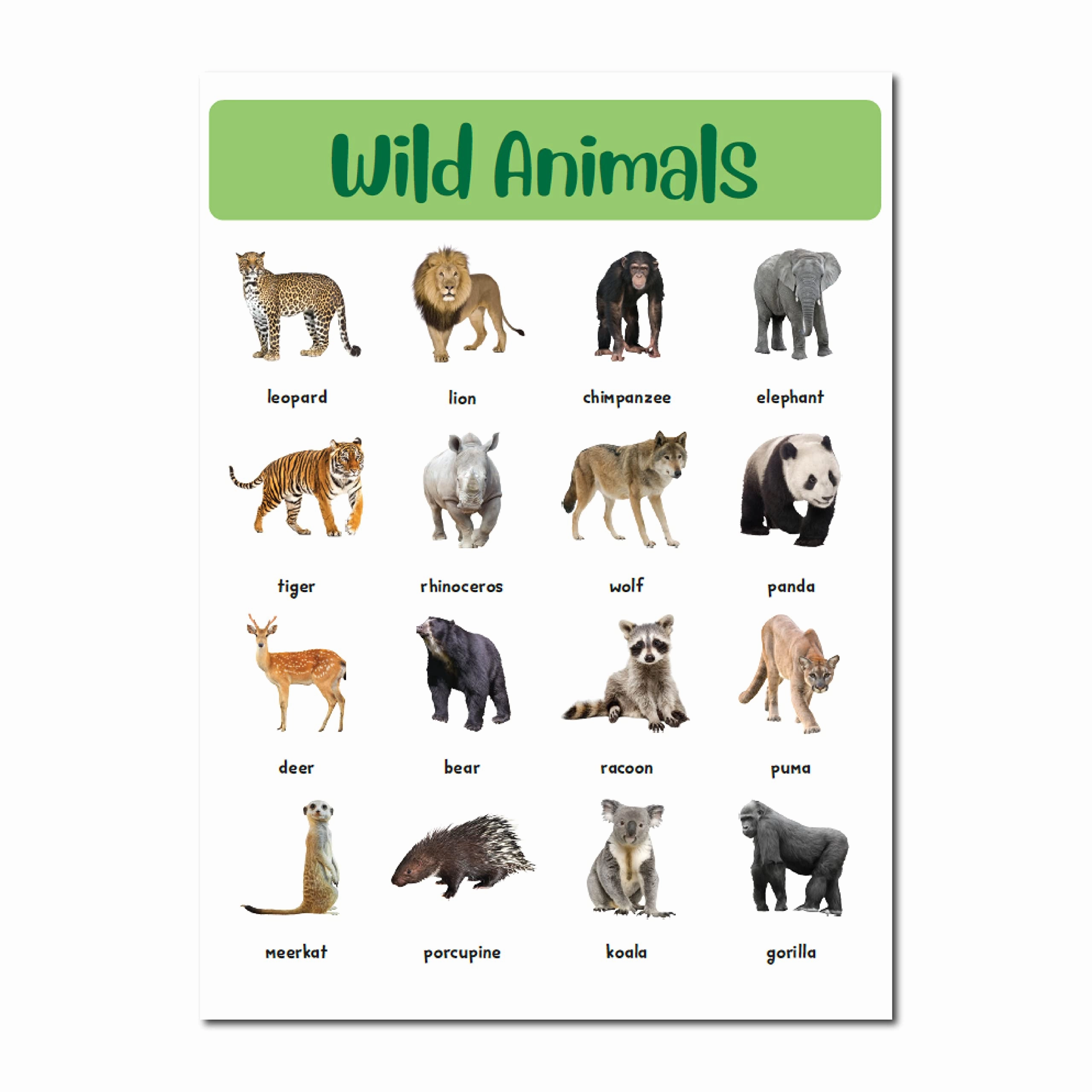 Pegasus 400  Ultimate Stickers Book - Animals and Birds for 3  Years Kids