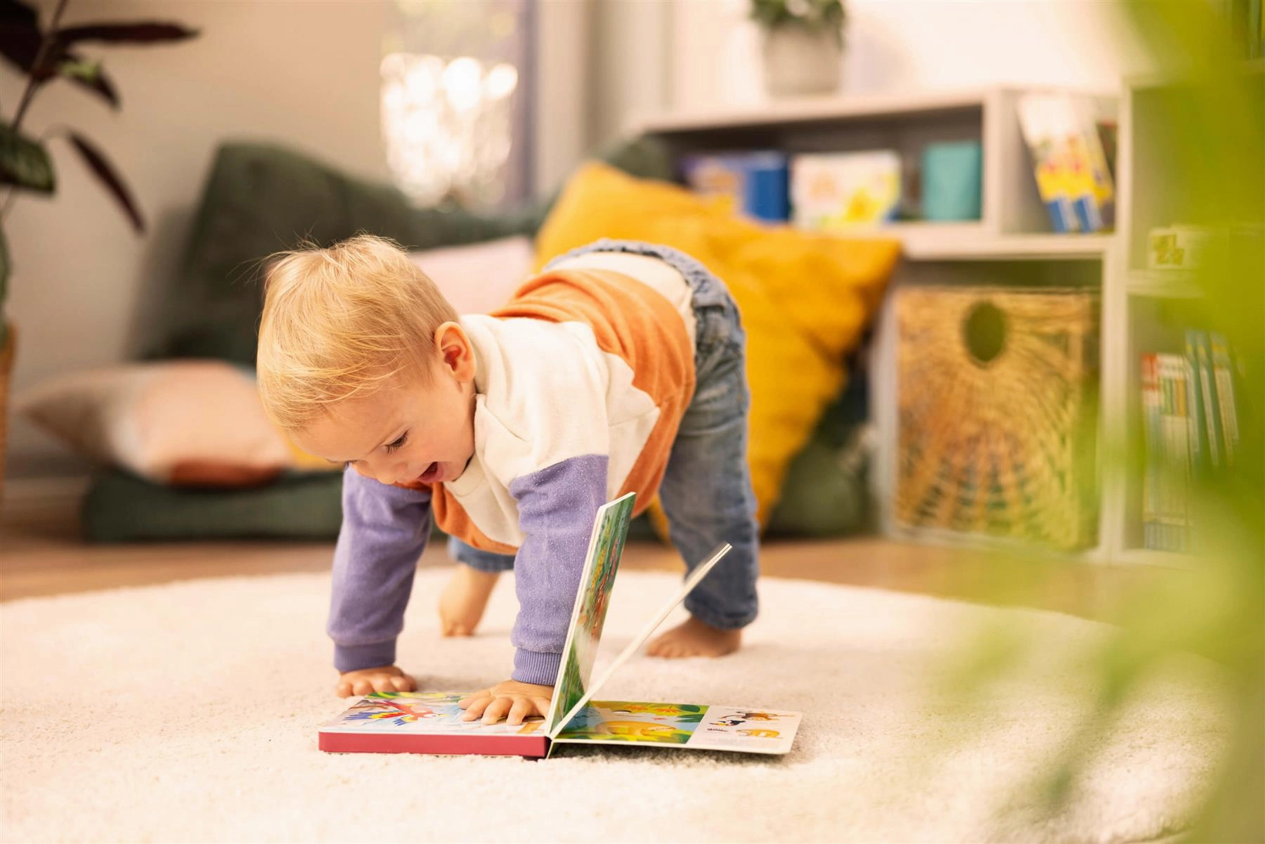Play  ShhhWho's there? Baby Animals Search & Find Sound Book Age 1 