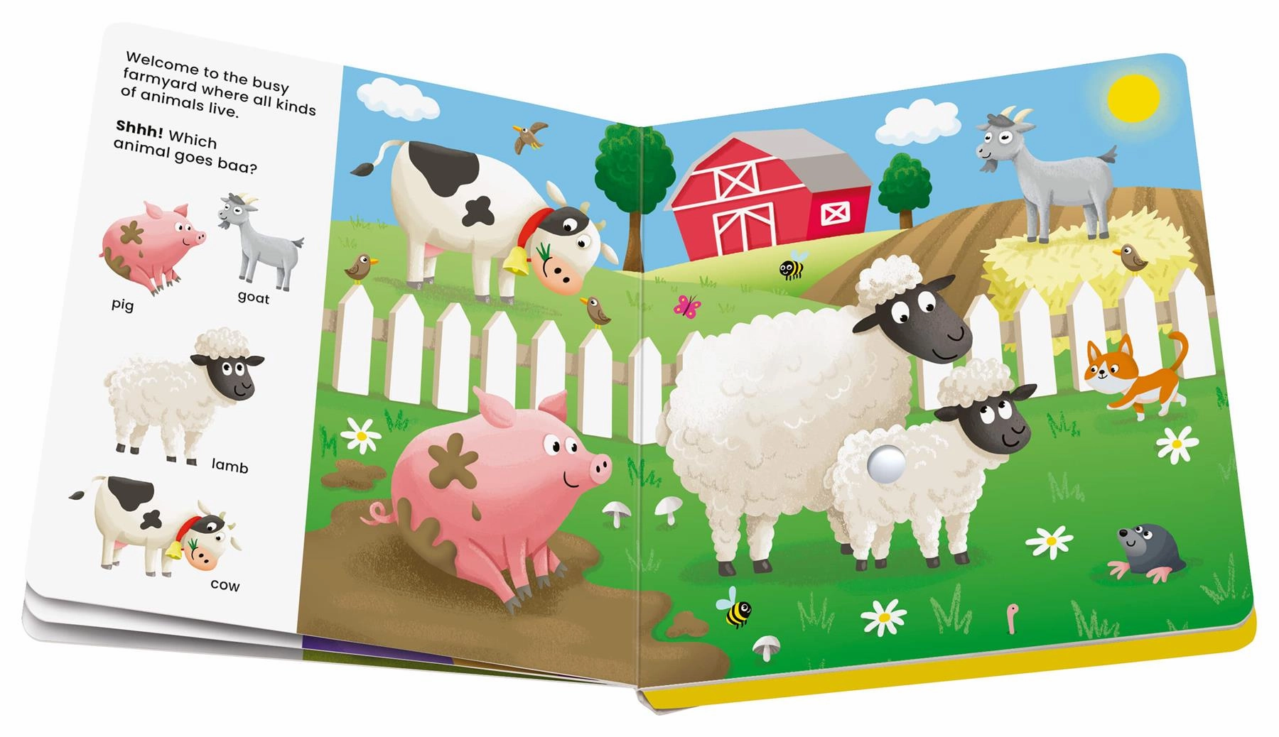 Play  ShhhWho's there? Baby Animals Search & Find Sound Book Age 1 