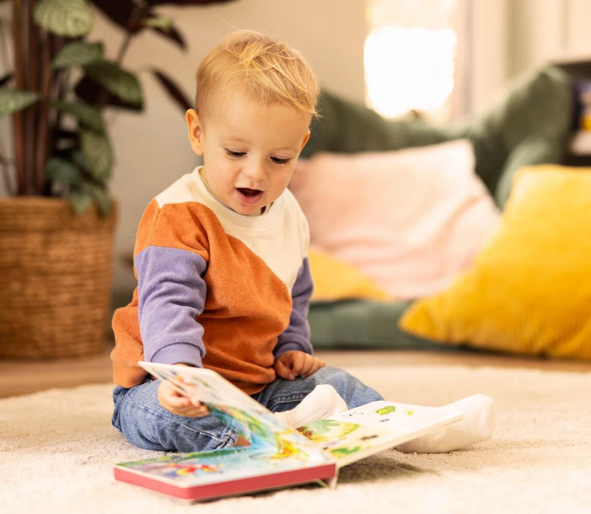 Play  ShhhWho's there? Baby Animals Search & Find Sound Book Age 1 