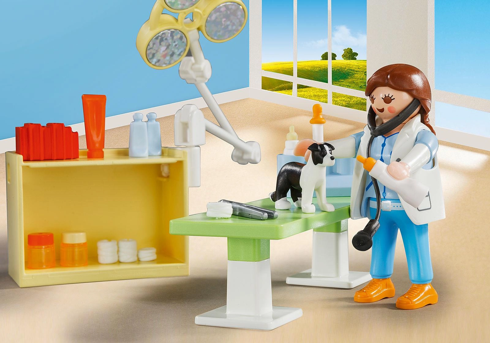 Playmobil City Life 5653 Vet Visit Small Carry Case for Ages 4 and Up