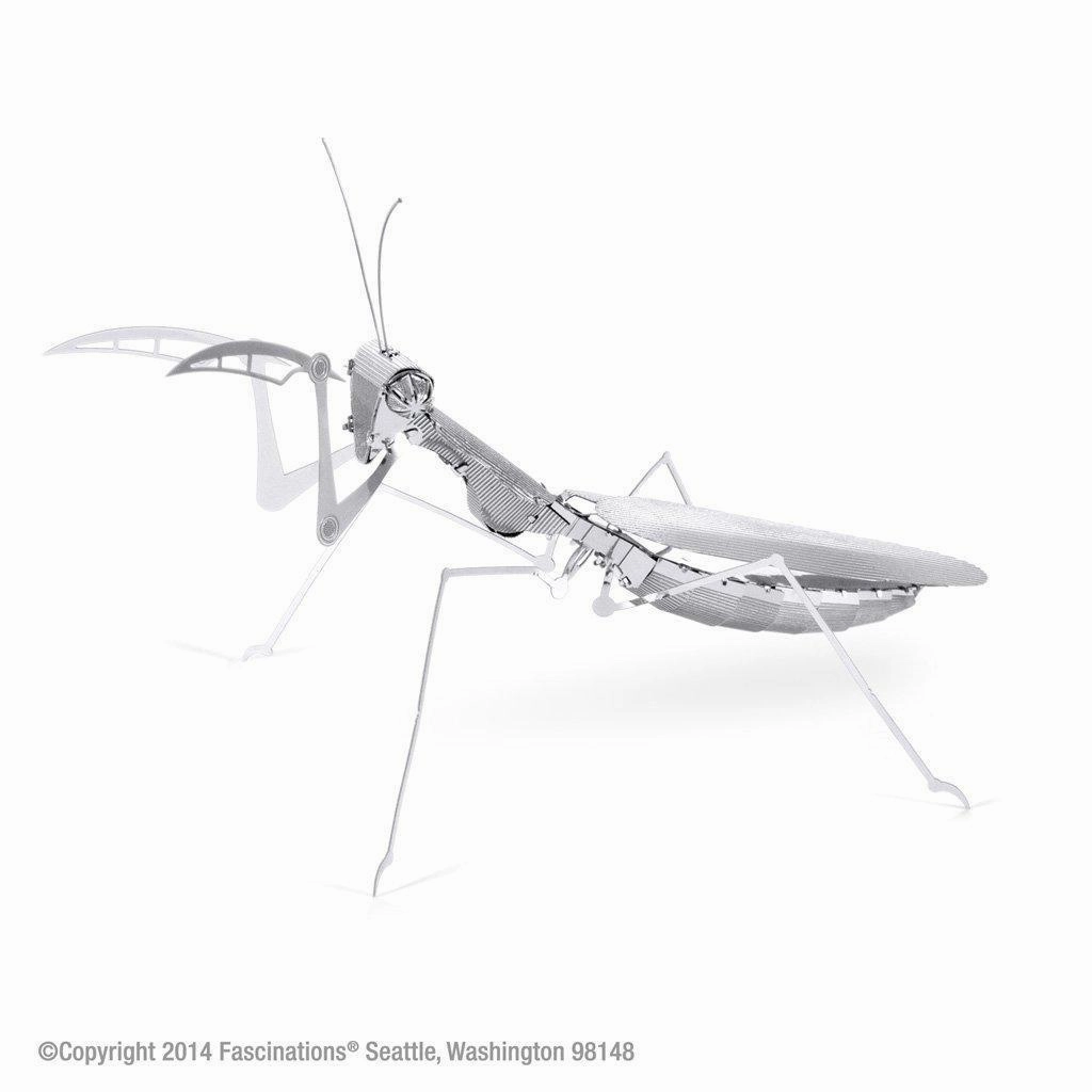 Praying Mantis