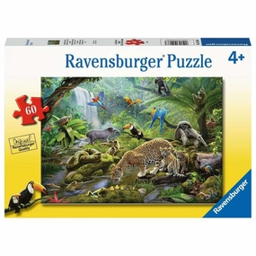 Rainforest Animals