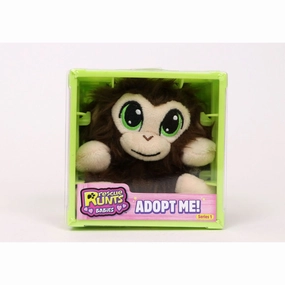 Rescue Runts Babies Monkey