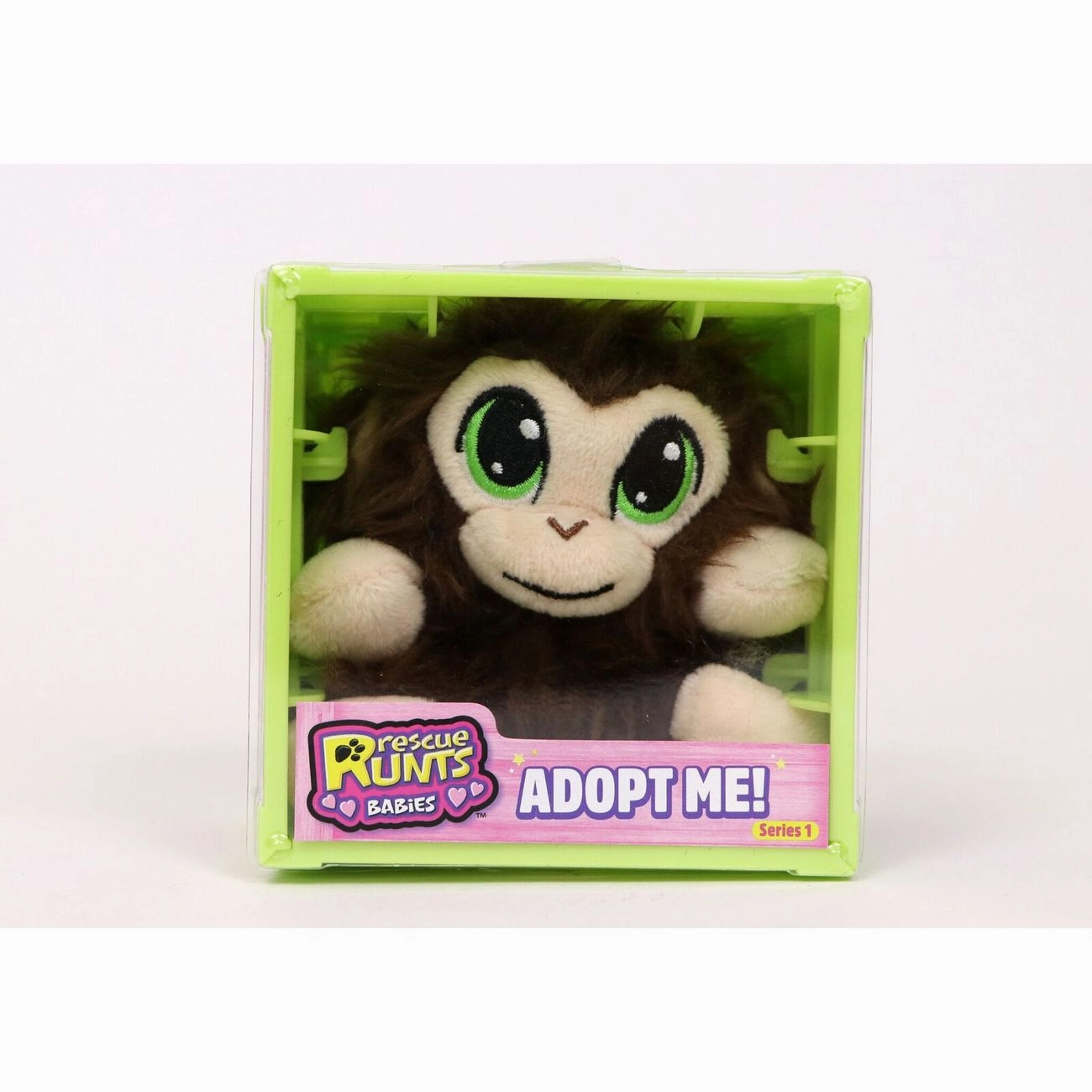 Rescue Runts Babies Monkey
