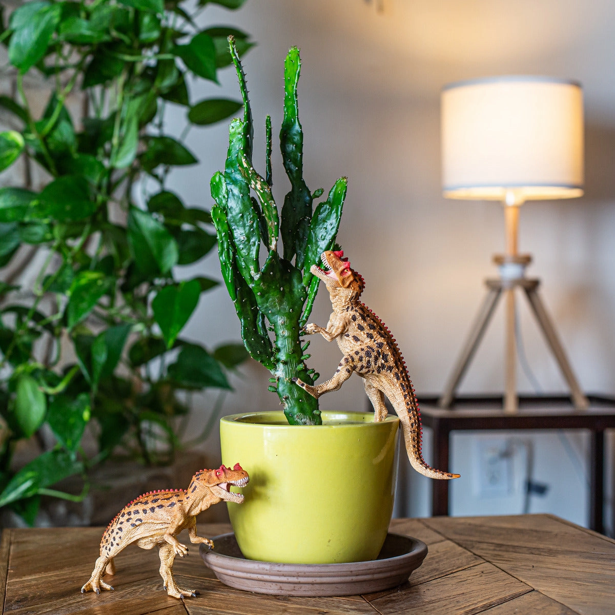 Schleich Ceratosaurus