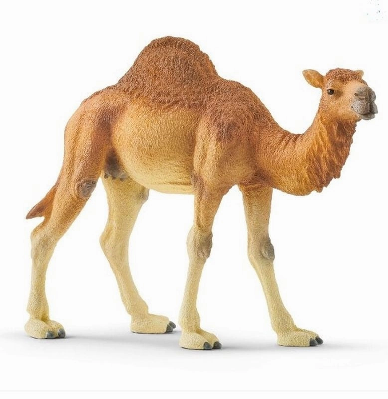 Schleich Dromedary