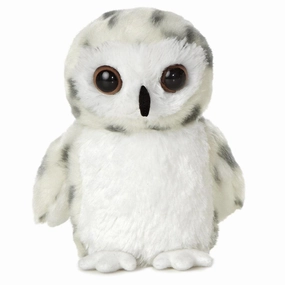 Snowy Owl