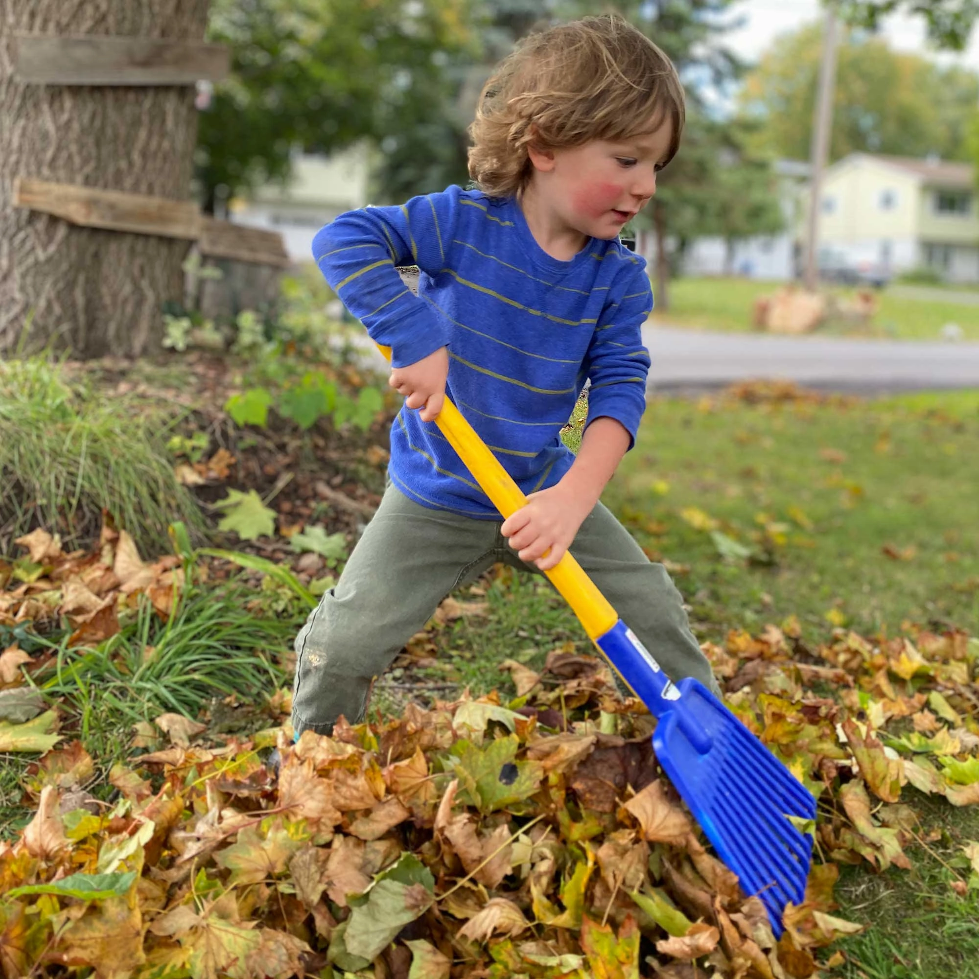 Spielstabil Junior Gardener Long Handled Leaf Rake for Kids