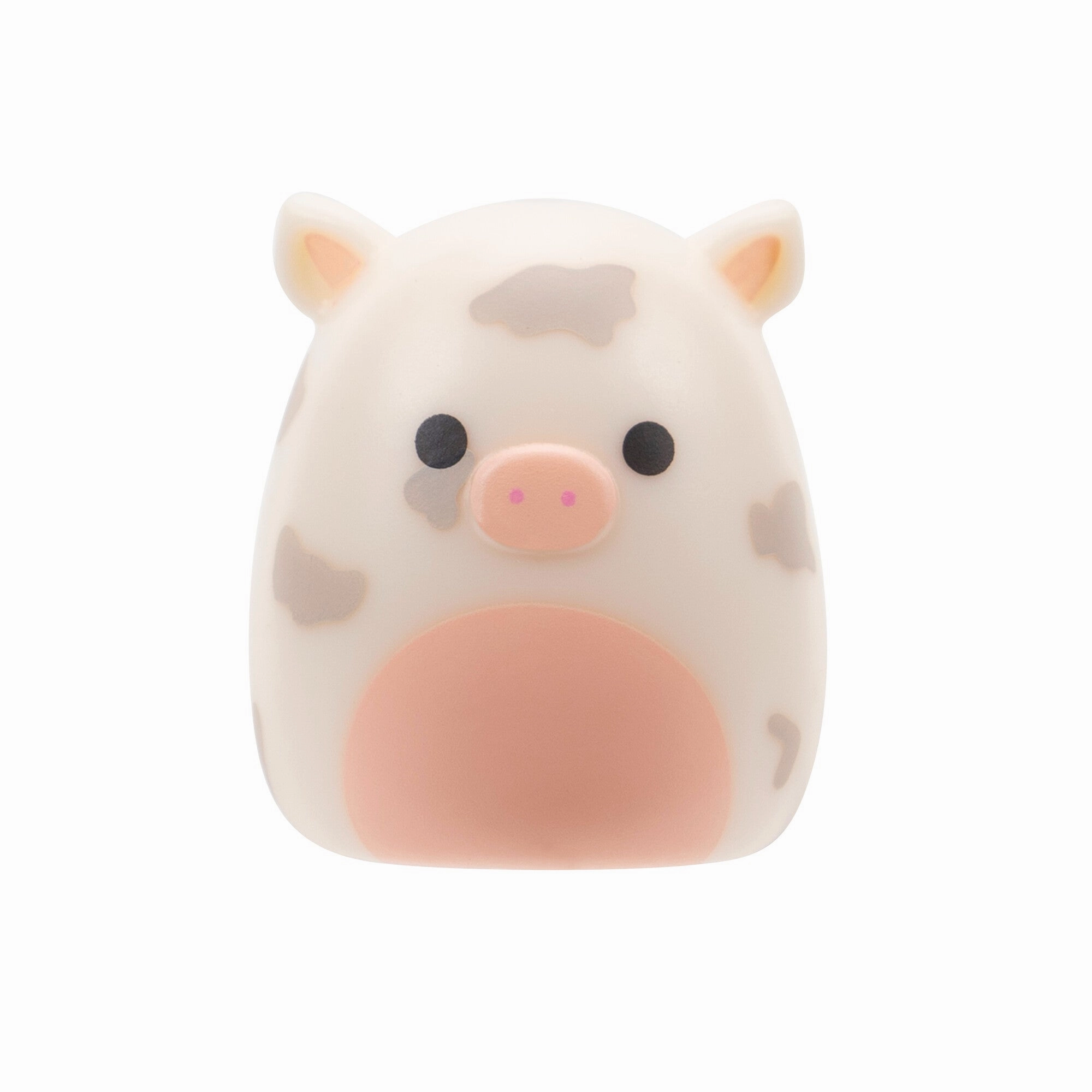 Squishalongs 2 Pack Blind Assortment