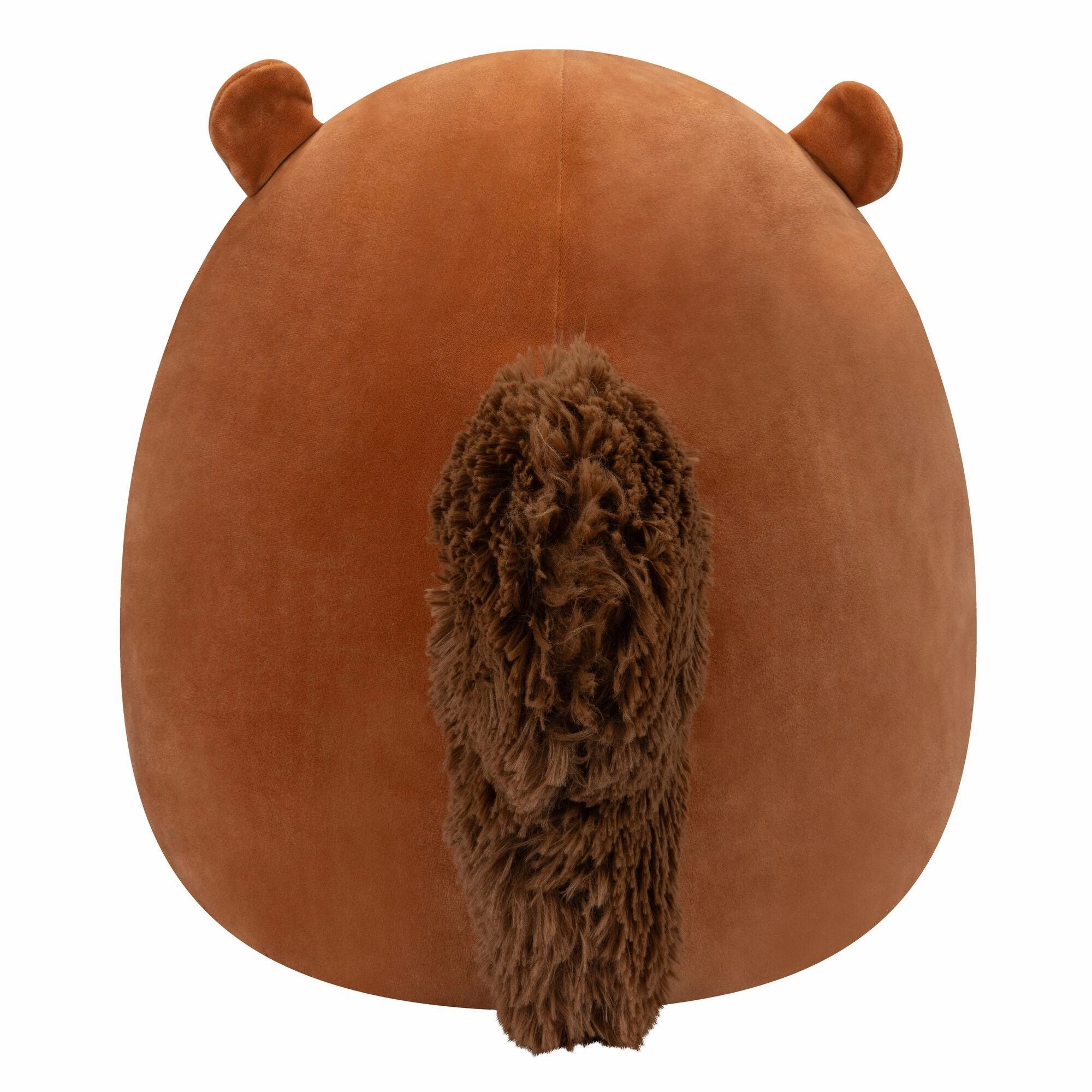 Squishmallows 5 Inch Plush Sawyer The Brown Squirrel