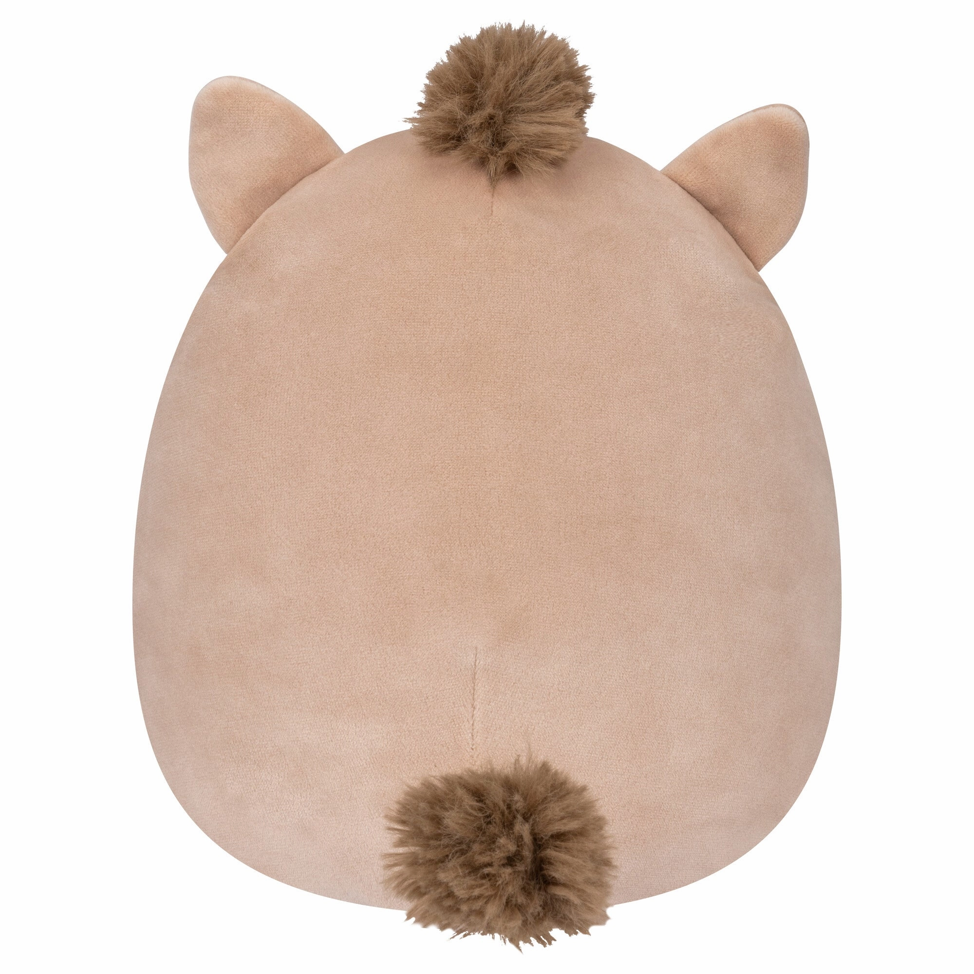 Squishmallows 5 Inch Plush Warren The Brown Boar