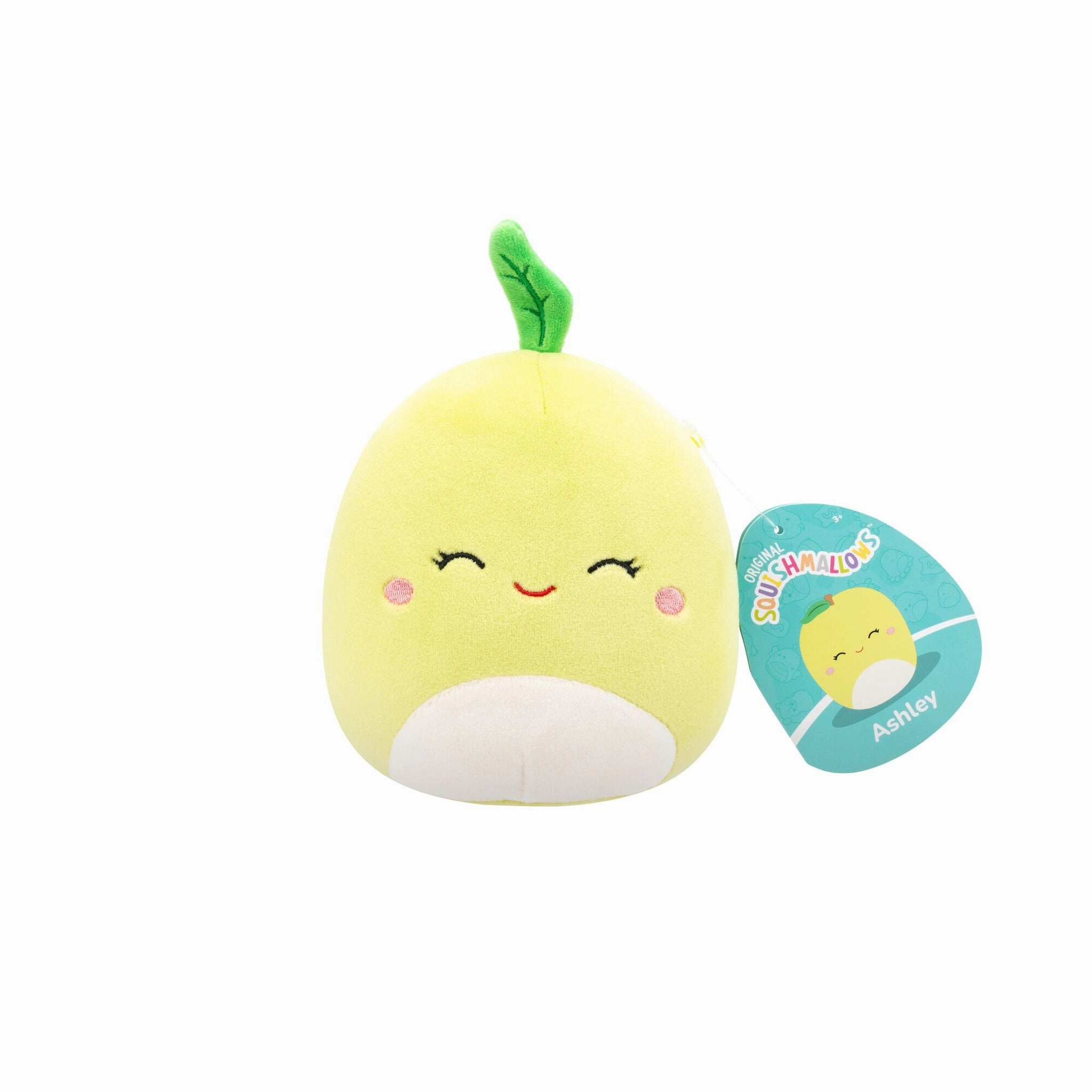 Squishmallows 5 Inch Series 23 Mystery Squad