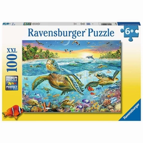 Swim with Sea Turtles