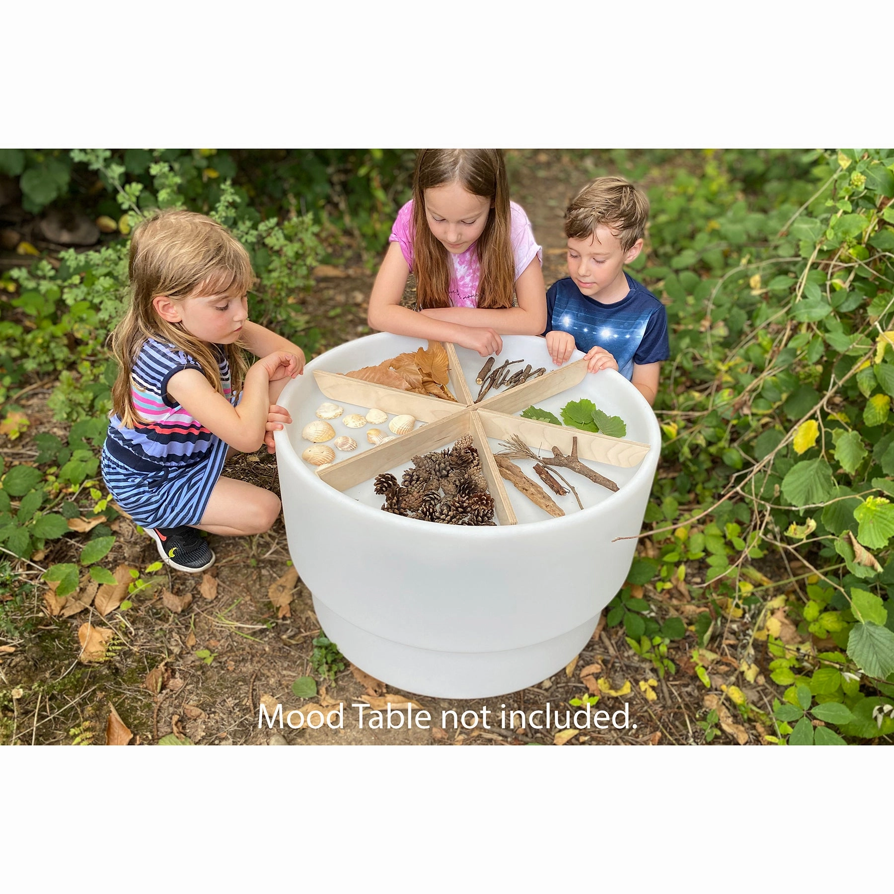 TickiT Wooden Discovery Dividers - Birch Plywood Playtime Circle