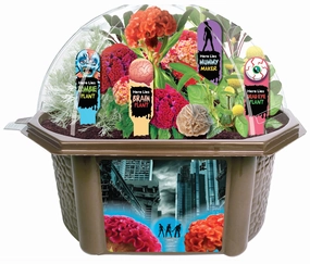 Toys By Nature Zombie Apocalypse Biosphere Terrarium Kit  House of Horrors