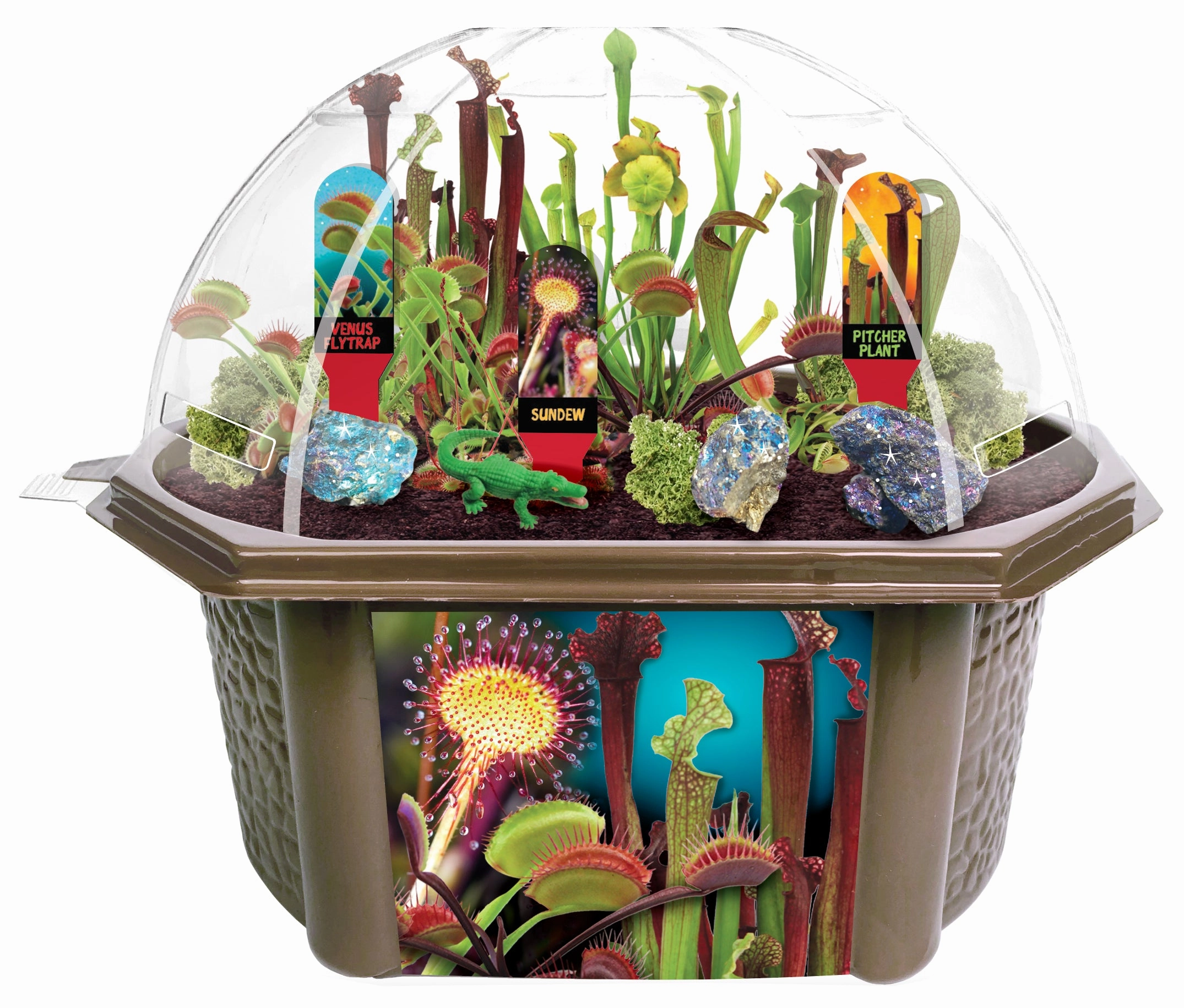 Toys R Us Culinary Herb Collection - Homegrown Flavors Kit