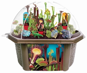 Toys R Us Culinary Herb Collection - Homegrown Flavors Kit