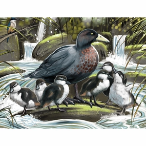 Treasures Of Aotearoa Series 4 96PC