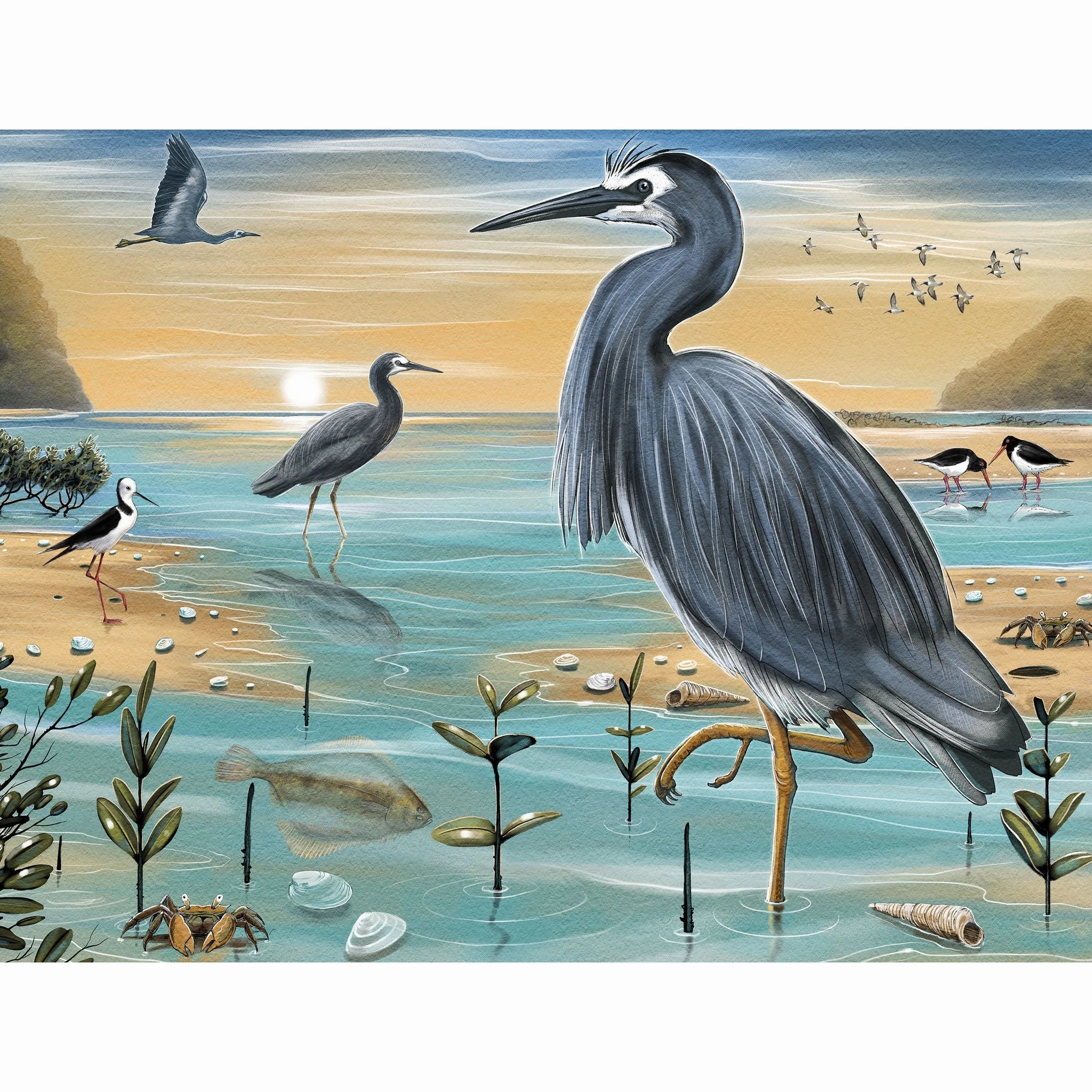 Treasures Of Aotearoa Series 4 96PC
