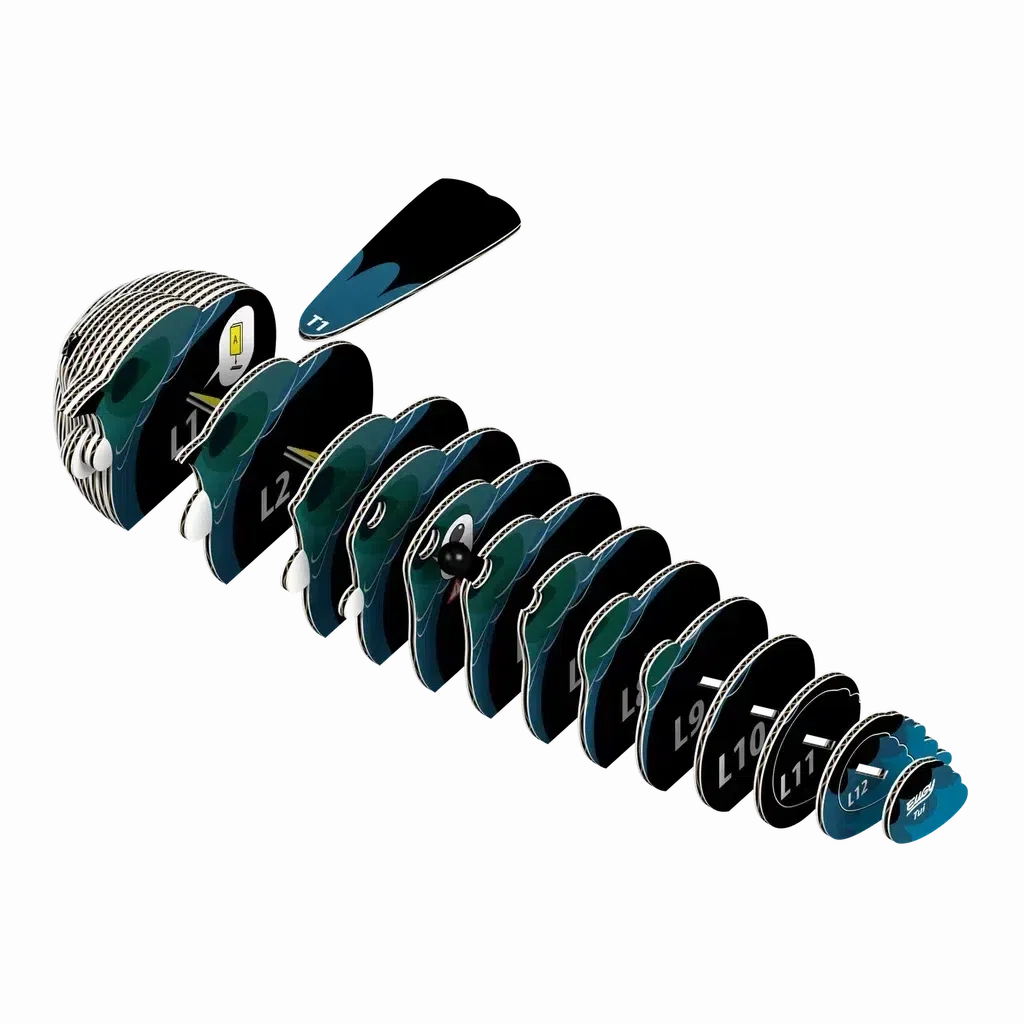 Tui 3D Puzzle