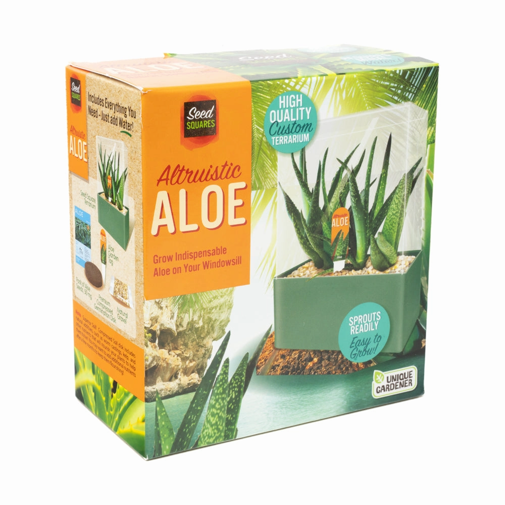 Unique Gardener Altruistic Aloe Seed Square Terrarium Kit