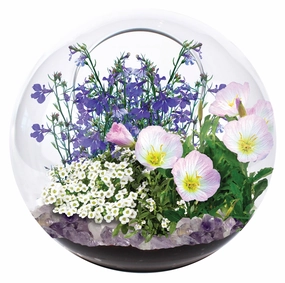 Unique Gardener Mini Fairy Triad Glass Terrarium Kit